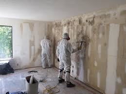 Reliable East Honolulu, HI Mold Removal Solutions